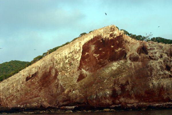 cliff tops where the boobies live